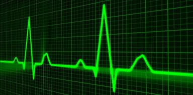 Puls serca